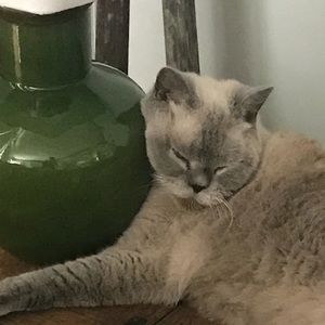 Meet your Posher, Nancy